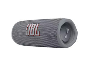 Grey JBL Flip 6